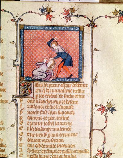 Ms 1126 f.66r嫉妬の暴力、ロマン・デ・ラ・ローズc.1487-95から） 作： French School