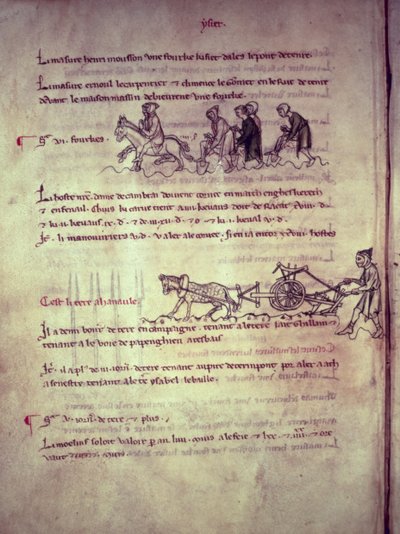 Ms 1175 f.156v Labour、Vieil Rentier dAudenarde、1291-1302 作： French School