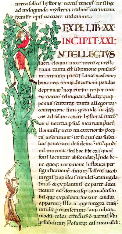 Ms 173 f.41歴史的イニシャル私は教皇グレゴリー大王によるヨラリアのヨラリアからの修道士と一本の木を切り刻んで剪定することを描いた 作： French School