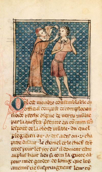 Ms 2030 fol.17眼科、La Chirurgie de Maitre Henri de Mondevilleからのイラスト 作： French School