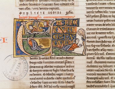 Ms 21 Fol.163v不特定の聖書から、ヨナが海に投げ込まれたことを描いた歴史的イニシャルE 作： French School