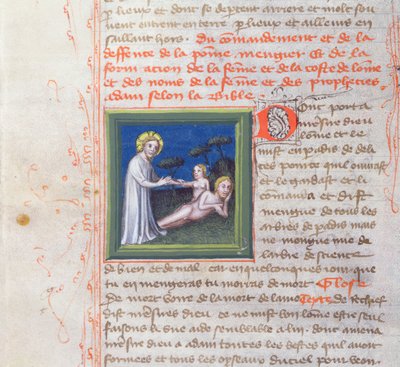 Ms 313 Creation of Eve、from the Bible des Grands Augustins、1494 作： French School