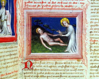 Ms 314 Adam of Adam、from a Bible des Grands Augustins、1494 作： French School