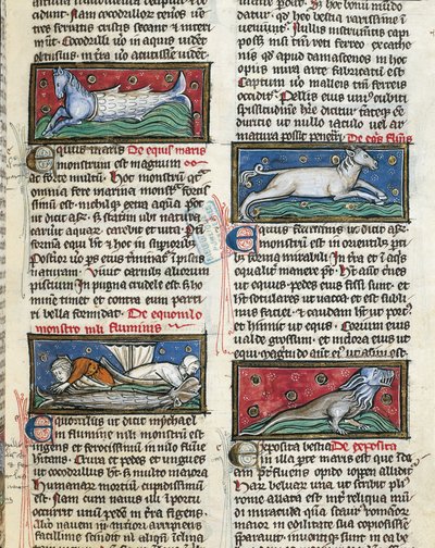 Ms 320 Fol.115r Thomas van Cantimpre (1201-72) の「De Natura rerum」から「海の魔物」（ベラム）。 作： French School