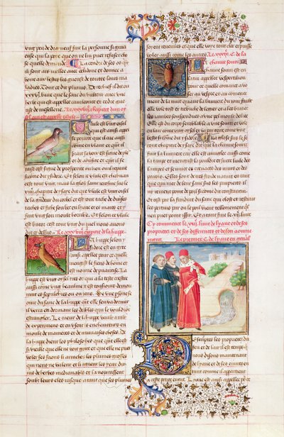 Ms 399 fol。149 Barthelemy l&39;Anglaisによる &39;Livre des Proprietes des Choses&39;のカメ、ヤツガシラとコウモリの特性 作： French School