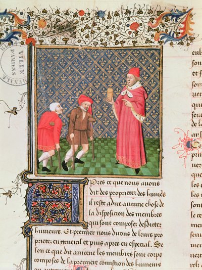 Ms 399 fol.35v乞食、Livre des Proprietes des Choses、Barthelemy lAnglais作 作： French School