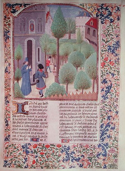 Ms 5064 fol.105r植樹、Livre des Prouffitz Champestres、Pietro de Crescenzi（1230-132021） 作： French School