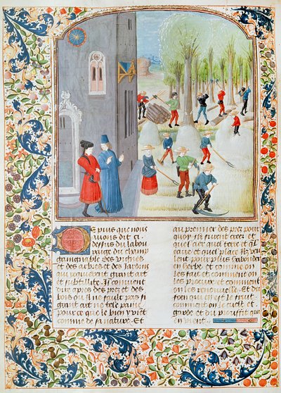 Ms 5064 fol.198v木の伐採と収穫、Livre des Prouffitz Champestres、Pietro de Crescenzi（1230-132021） 作： French School