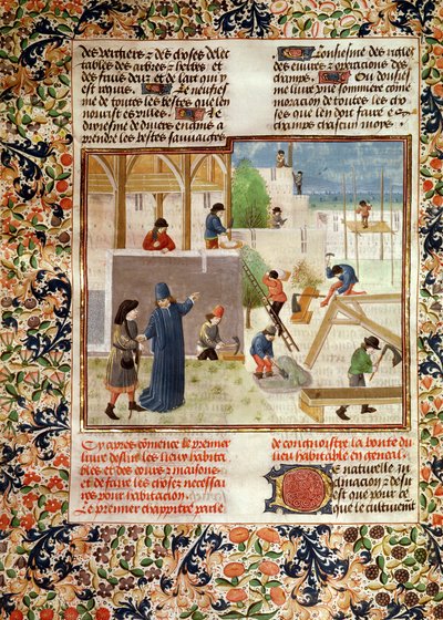 Ms 5064 fol.2v家の建設、Pitro de CrescenziによるLivre des Prouffitz Champestres（1230-132021） 作： French School