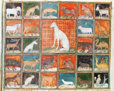 Ms 993 fol.254v獣の性質：哺乳類、ジャン・コルディションのLe Livre des Proprietes des Chosesから 作： French School