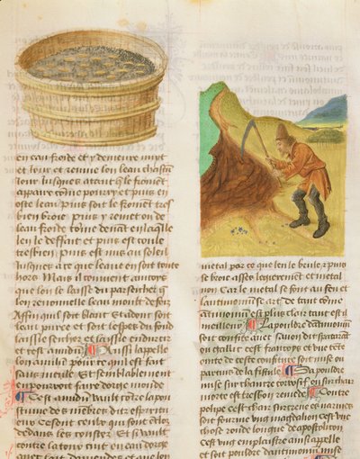 Ms. De Diversis Herbis by Dioscorides、fol.8r Seeds in a Tub and Searching for Gentian Tubers 作： French School