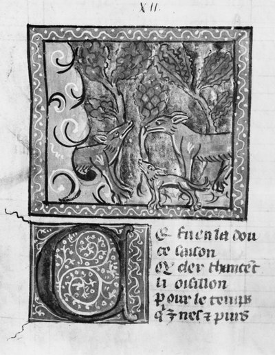 Ms Fr 1580 Le Roman de Renartのキツネ、オオカミ、犬 作： French School