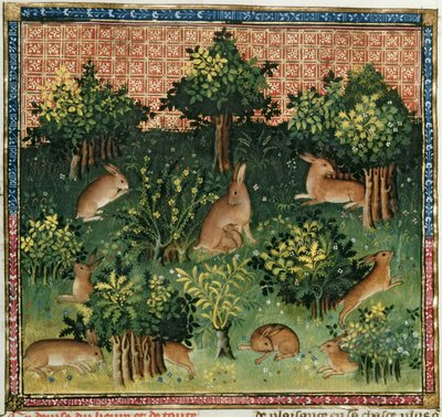 Ms Fr 616 fol.24v森の中のノウサギ、ガストンフェブスデフォワ（1331-91）によるLivre de la Chasseから 作： French School