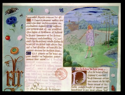Mr Fr 9197 fol。187 Pan、Livre des Eschecs DAmour作 作： French School