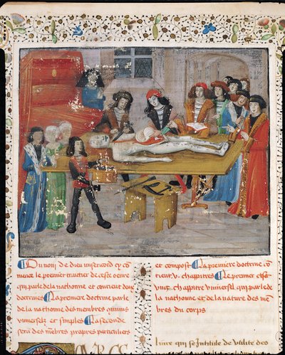 Ms H 184 fol.14vモンペリエの医学部での解剖学レッスン、ガイドショーリアック作「La Grande Chirurgie」、1363年 作： French School