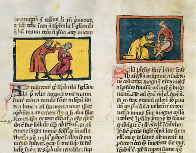 Ms H 89 Rogier de Salerne著 『Book of Surgery』から病人を治す医師たち 作： French School