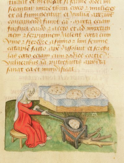 MS Dioscorides fol.142rベーキングバンズのデハーブ 作： French School