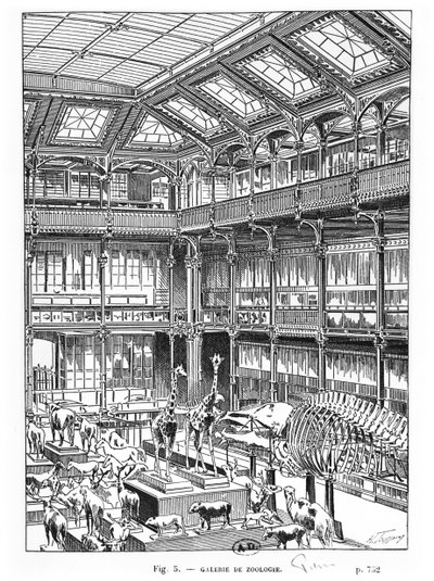パリ自然史博物館 作： French School