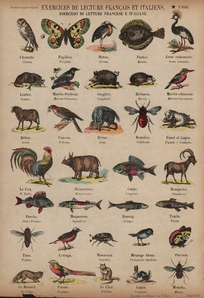 フランス語とイタリア語の動物の名前（カラーの彫刻 作： French School