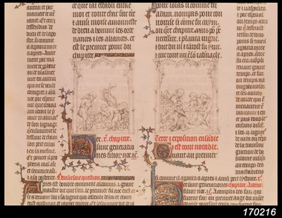 ブドウ畑のノアとノアの酔い、ジャン・シの聖書、1355年頃 作： French School