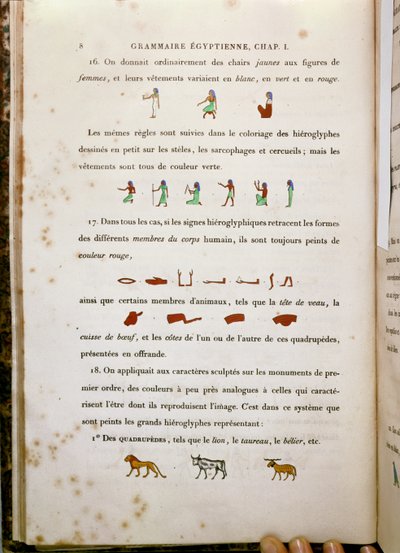 ジャン・フランソワ・シャンポリオン（1790-1832）1836によるGrammaire Egyptienneの特定の象形文字の着色に関するメモ 作： French School