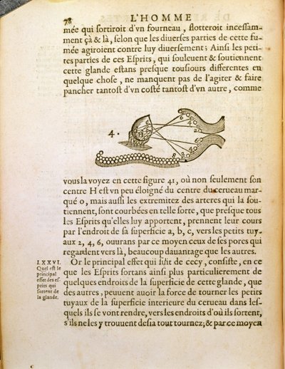 光学図、1662年、ハーグで出版されたルネデカルト（1596-1650）によるデホーミネフィグリスから 作： French School