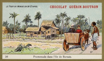ボルネオ島で牛車に乗る（クロモリ写真 作： French School