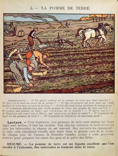 ジャガイモの栽培を説明する学校の教科書のページ、1910年頃 作： French School