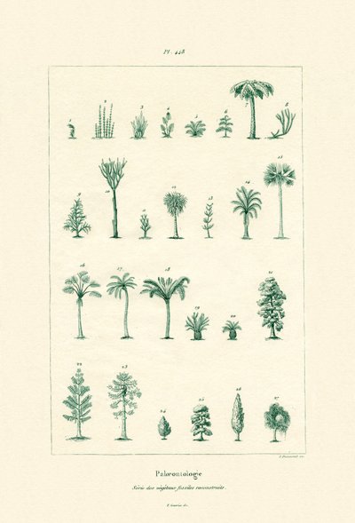 古生物学、1833-39 作： French School