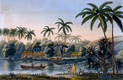 1826年に発行されたルイイソドールデュペレ中尉によるコルベットコキールでの世界中の航海からのマタバエ、ココヤシ、その他の果物、タヒチの村の一部 作： French School