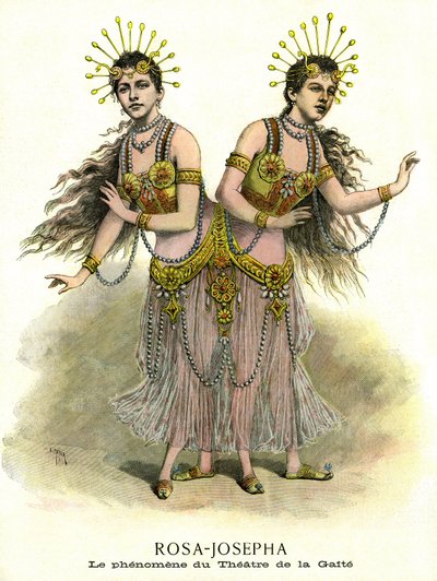 Phenomene en spectacle : Rosa-Josepha, sisters-siamoises presented at the theatre de la Gaite in Paris in 1891 (print)   1440560   ja       japanese Successfully Translated  Original: Memorial to Mary Gardiner from Hampton Church Translat: Memorial to Mary 作： French School