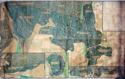 ポルト・ロワイヤル・デ・シャン（Port-Royal-des-Champs）の修道女たちが所有する森の計画と調査 1723年 パリ、国立公文書館 作： French School
