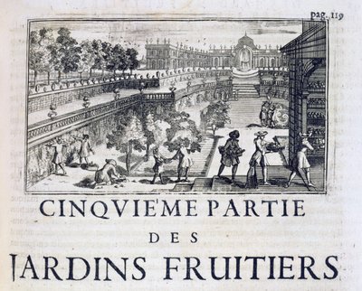 Le Parfait Jardinierからの果樹の植え付け、またはJean de la Quintinyeによる1659年出版のLes Jardins Fruitiers et Potager 作： French School