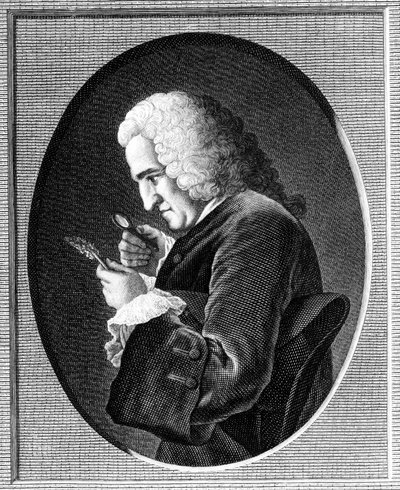 ベルナール・ド・ジュシューの肖像（1699-1777） 作： French School