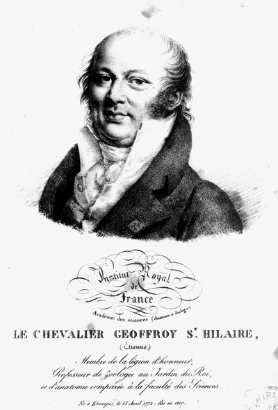 エティエンヌ・ジェフロワ・サンティレールの肖像（1722-1844） 作： French School