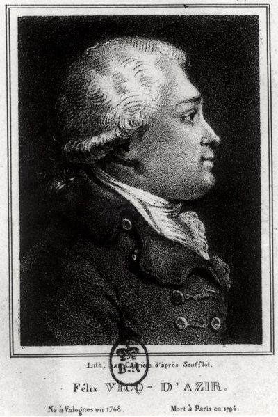 Felix Vicq dAzyr（1748-94）の肖像 作： French School