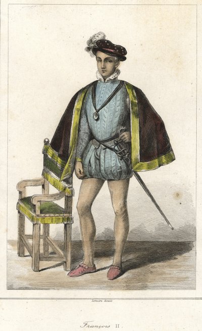 フランス王フランソワ2世（1544年～1560年）の肖像。 作： French School