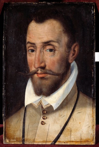 フランソワ・ド・コリニー（アンデロー家の領主、歩兵大佐）の肖像（1521-1569年） フランス派の絵画 作： French School