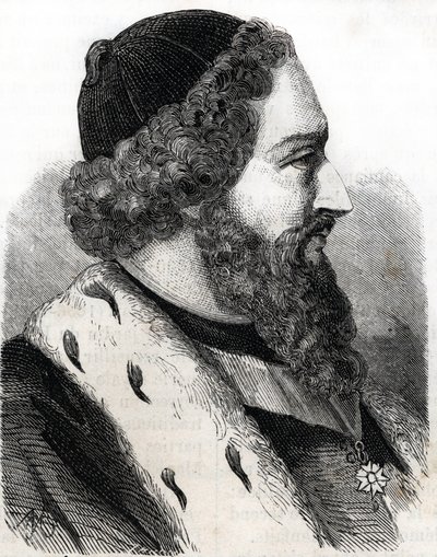 ジョセフ・ピトン・ド・トゥルヌフォール（1656-1708）の肖像（エングレーヴィング 作： French School