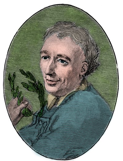 ローレンス・ユースデンの肖像（1688-1730）英国の詩人。 作： French School