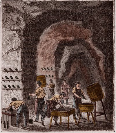 シャンパンの製造 - Fabrication du Champagne - Alexis Clercの「Sciences made available to everyone - physics and chemistry」に掲載された版画 - 19世紀末 - 個人蔵 作： French School