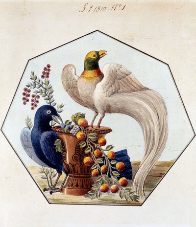 アレクサンドル・ブロンニャール（1770-1847）による磁器製の鳥のテーブルのプロジェクト。1810年 セーブル、マニュファクチュール・ド・セーブル社のアーカイブ 作： French School
