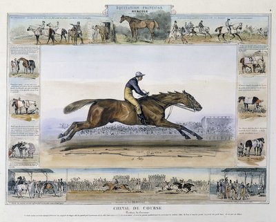 シャルル・オーブリーの「古今東西の乗馬の絵巻」に登場する競走馬 作： French School