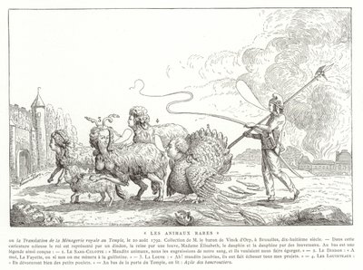 珍しい動物 作： French School