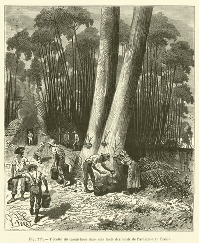 ブラジルのアマゾン川岸の森でゴムを収穫 作： French School