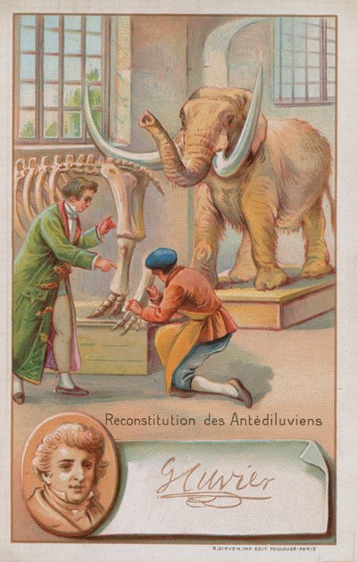 フランスの博物学者で動物学者であるジョルジュキュヴィエ（1769-1832）によるアンティディルヴィア時代の再建。 作： French School