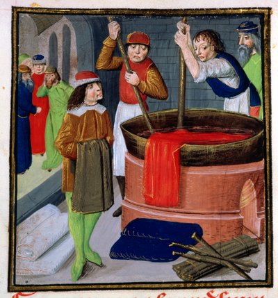 Roy 15 E III f.269 Bartholomeus Anglicus の Des Proprietes des Choses からの布の染色 作： French School