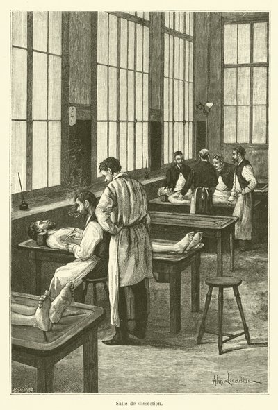 解剖（彫刻）室 作： French School