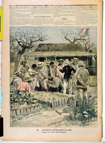 1896年11月7日、ルプチジャーナルよりマダガスカルの原住民への栽培方法の指導 作： French School