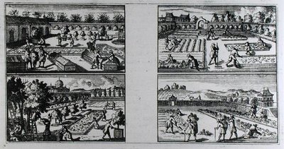 1704年頃に出版されたジャン・ド・ラ・カンティニーの「The Compleat Gard